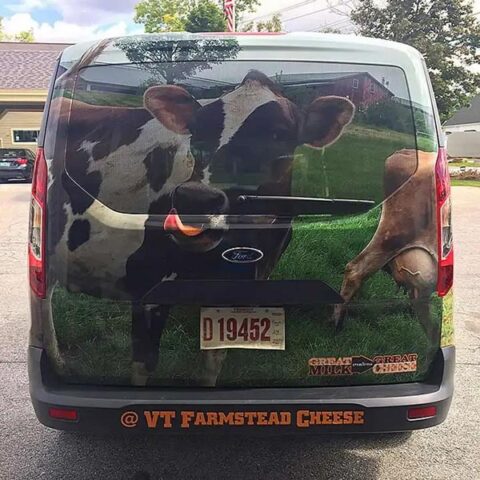 window film decal